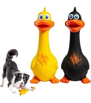 Brinquedo Pet Galinha de Borracha